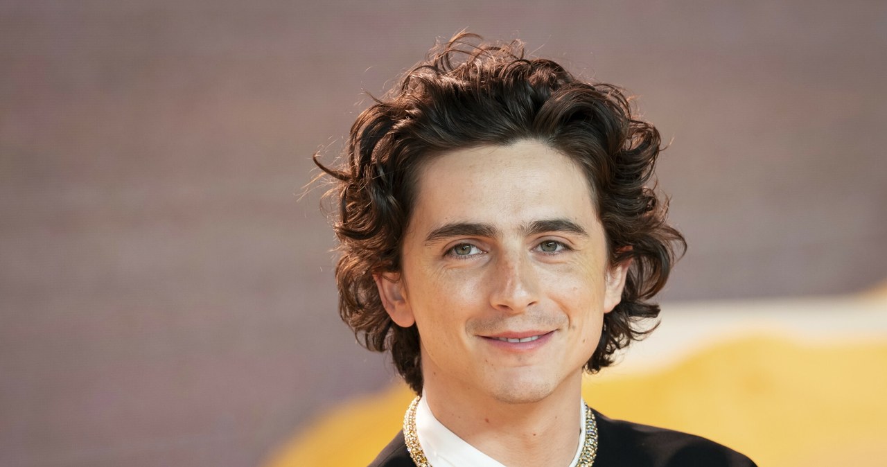 Timothee Chalamet /Scott A Garfitt/Invision /East News