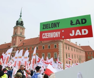 TK orzekł ws. Zielonego Ładu. "Doszło do znaczącego naruszenia zasady kompetencji"