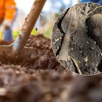 broń Tkwiła w ziemi przez tysiące lat. Odkryto celtycką broń