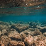 Tlen bez światła. Naukowcy wracają na dno oceanu, by wyjaśnić zagadkę