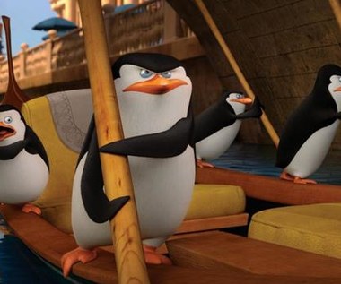Tłumy na "Pingwinach z Madagaskaru"