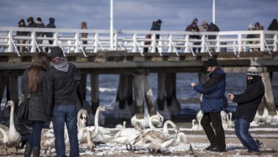 Tłumy turystów na sopockim molo