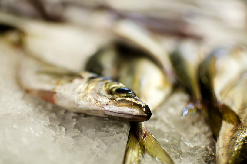 Tłuste ryby: łosoś, makrela, śledź, sardynki, szprotki, są ważne w diecie każdego, kto cierpi na bóle i stany zapalne stawów /123RF/PICSEL