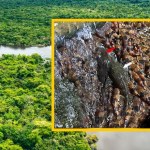 wodospad To absolutny fenomen: Ryby wspinają się po wodospadzie. Zobacz, jak to robią!