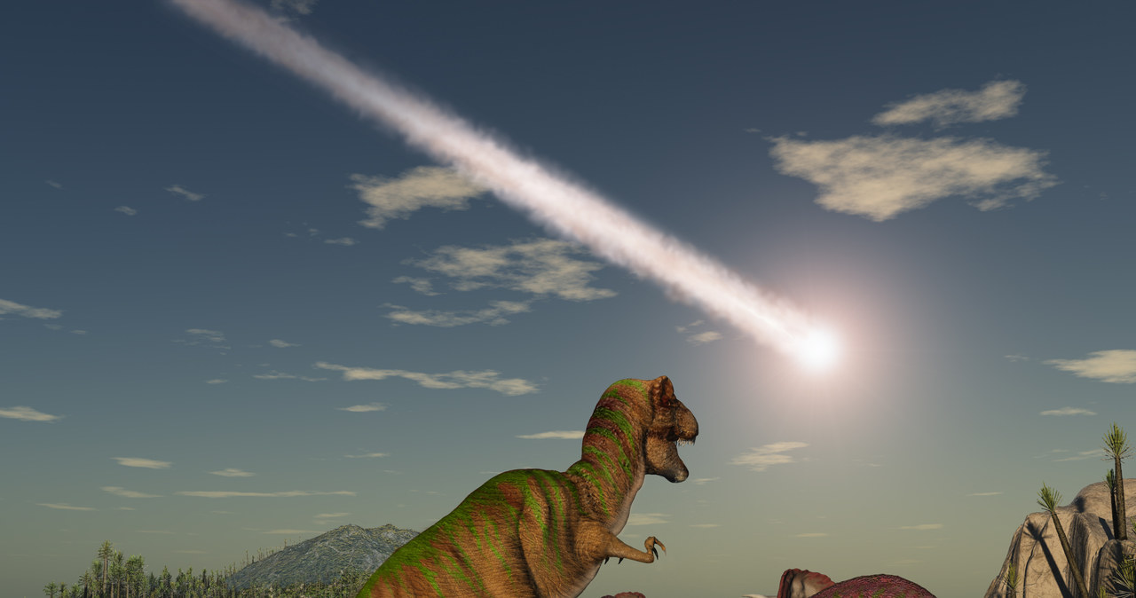 To asteroida zabiła dinozaury - nie żadne inne zjawiska /123RF/PICSEL