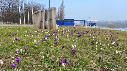 To będzie najcieplejszy dzień od początku roku! Na termometrach nawet 22 stopnie