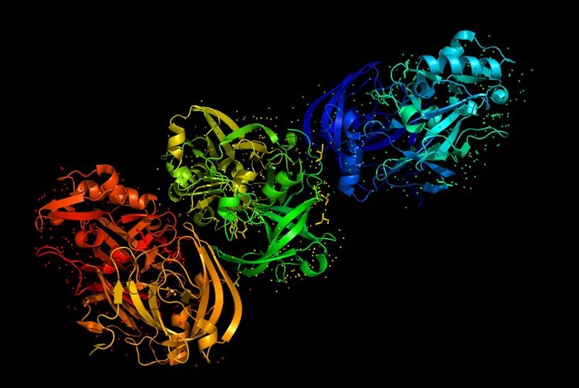 To białko tau odpowiada za rozwój choroby Alzheimera /123RF/PICSEL