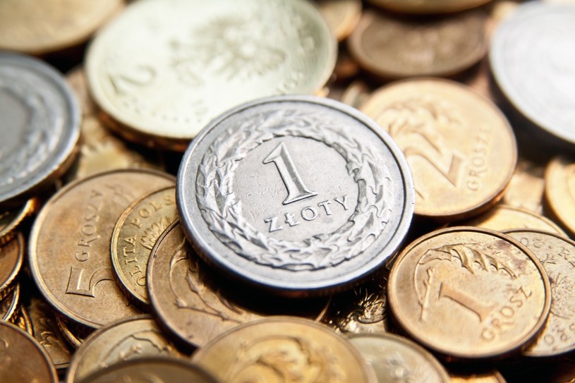 To był dobry tydzień dla złotego. Polska waluta pozostaje mocna. Zdj. ilustracyjne /123RF/PICSEL