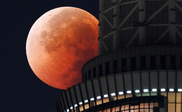 To był "krwawy superksiężyc". Niezwykłe zaćmienie nad Polską