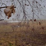 "To, co odkryliśmy, było szokujące". Pod Tatrami doszło do incydentu