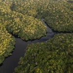 To, co produkują lasy Amazonii jest warte fortunę. 20 mlrd dol. rocznie