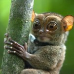 To coraz popularniejsze miejsce wyjazdu Polaków. Jakie ma zwierzęta?