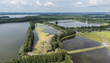 To ewenement na skalę Polski i Europy. Malownicze stawy i dzika przyroda