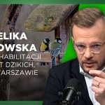 To fast food dla ptaków. A my karminy nim na potęgę