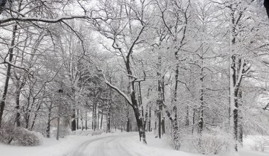 To górskie uzdrowisko utonęło w śniegu. Możesz mieć problem z dojazdem 