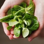 To idealny moment na wysiew tej rośliny. Świetnie wpływa na serce i wzrok