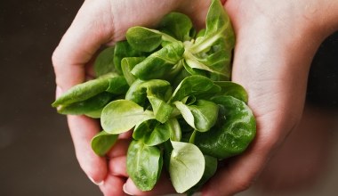 To idealny moment na wysiew tej rośliny. Świetnie wpływa na serce i wzrok