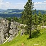 To jeden z najprostszych szlaków w Tatrach. Idealny na jesień