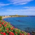 To jedna z najmniejszych wysp Europy. Mieszka na niej więcej kotów niż ludzi 