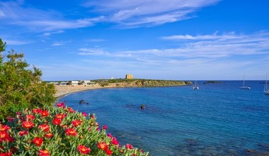 To jedna z najmniejszych wysp Europy. Mieszka na niej więcej kotów niż ludzi 