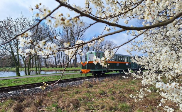 To jedna z największych atrakcji Poznania. Wraca po zimowej przerwie 