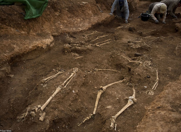 To jedno najciekawszych cmentarzysk kultury łużyckiej na Dolnym Śląsku i jedno z najbogatszych z terenu Polski/ Zdjęcie ilustracyjne /AFP /East News