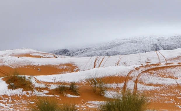 To jedno z najcieplejszych miejsc na Ziemi. Na Saharze spadł śnieg