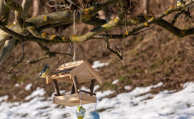 To już koniec zimy? Na horyzoncie widać słońce