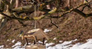 To już koniec zimy? Na horyzoncie widać słońce