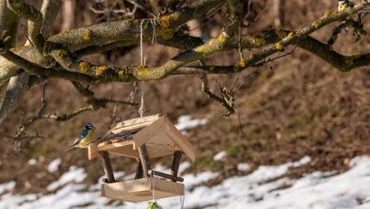 To już koniec zimy? Na horyzoncie widać słońce