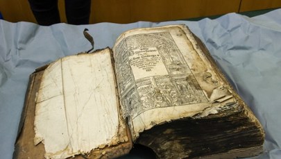 To już pewne. Potwierdzono autentyczność niezwykłego odkrycia