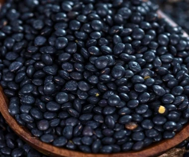 To mało znana odmiana popularnego warzywa. Chroni przed miażdżycą, poprawia trawienie i dba o cukier