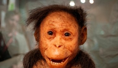 To miały być małpy. Znaleźli jednak dowody łączące je z ludźmi