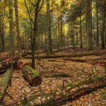 To miejsce było zamknięte prawie 30 lat. Idealny kierunek na weekendowy spacer