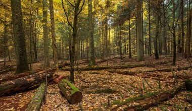 To miejsce było zamknięte prawie 30 lat. Idealny kierunek na weekendowy spacer