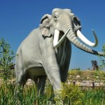 To miejsce okazało się pułapką. Zastawiono ją na ogromne zwierzęta