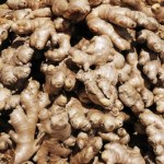 To może być nasze nowe złoto. Sadzą go już w Polsce zamiast ziemniaków