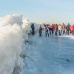 To może być pierwszy taki rok w Polsce od dawna. Wszystko dzięki mrozom