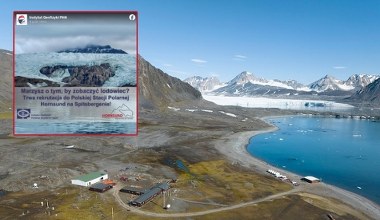To może być praca marzeń. Szukają uczestników wyprawy polarnej na Spitsbergen