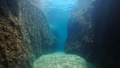 To może zmienić przyszłość Ziemi. Antarktyda kryje pod lodem gigantyczne kaniony