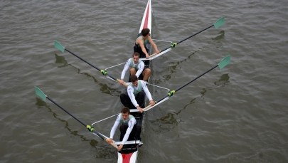 To mózg, a nie mięśnie się liczą