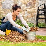 To musisz zrobić jesienią w ogrodzie. Nie czekaj, aż przyjdzie mróz