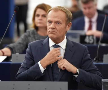 To na tym dorobił się Tusk. Kancelaria opublikowała oświadczenia majątkowe 