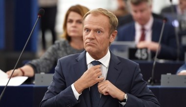 To na tym dorobił się Tusk. Kancelaria opublikowała oświadczenia majątkowe 