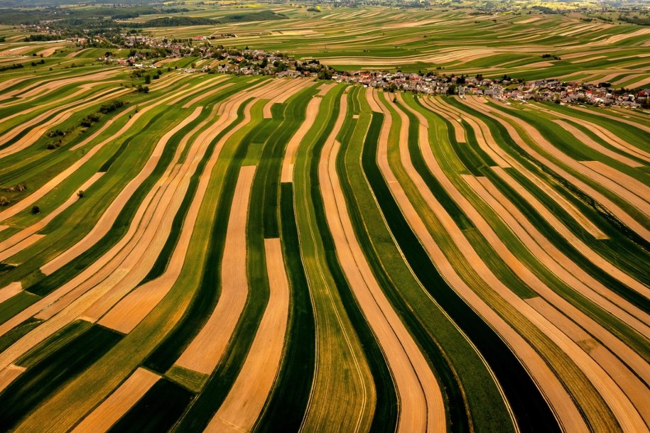 To najbardziej fotogeniczna wieś w Polsce. Tak wygląda na zdjęciach! /Łukasz Gagulski  /PAP