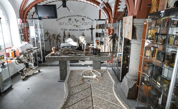 To najbardziej niezwykłe muzeum w Polsce. Jest pełne szokujących eksponatów