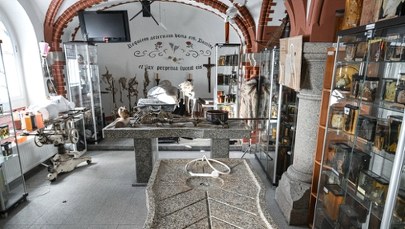 To najbardziej niezwykłe muzeum w Polsce. Jest pełne szokujących eksponatów