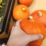 To najlepsza dynia na zupę. Smaczna i nie trzeba jej obierać