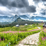 ​To najlepszy moment na wycieczkę w Tatry. Tylko teraz zobaczysz wyjątkowe zjawisko