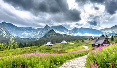 ​To najlepszy moment na wycieczkę w Tatry. Tylko teraz zobaczysz wyjątkowe zjawisko